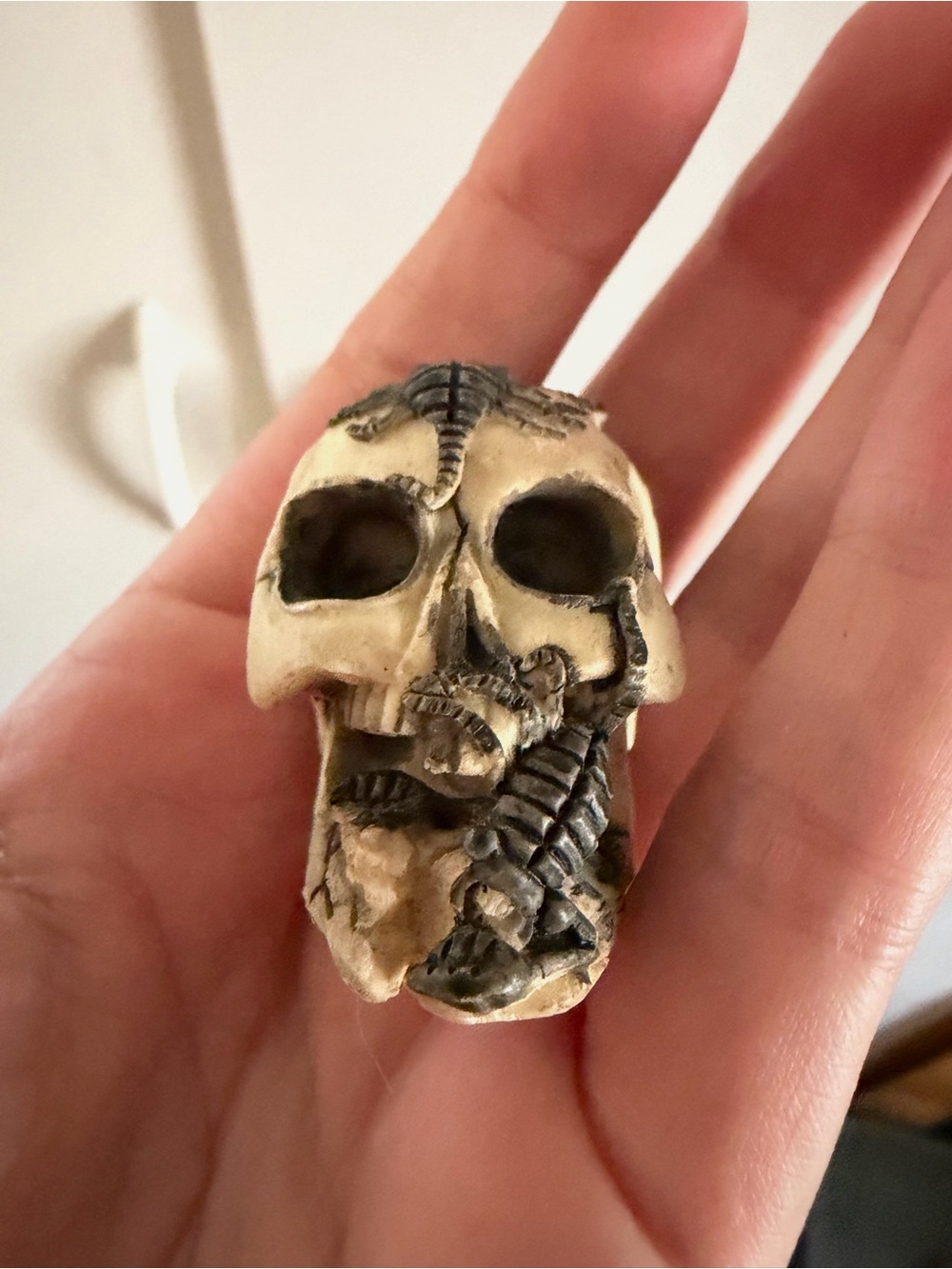Vintage Goth Mini Resin Skull Head with scorpions #0129